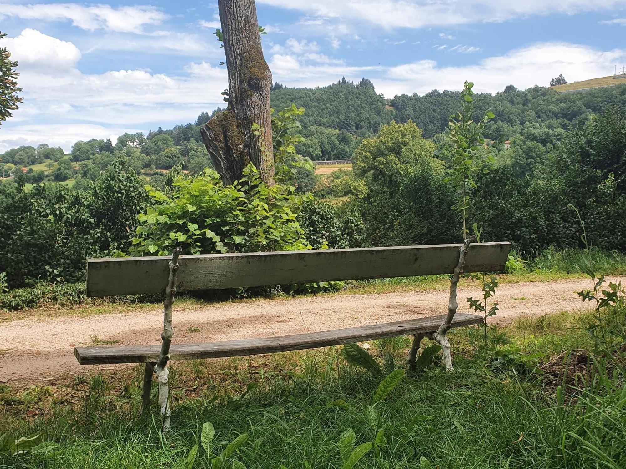 Gite Charmant Avec Terrasse Et Wifi Au Puy-En-Velay - Fr-1-582-331 Le Puy-en-Velay Exterior foto